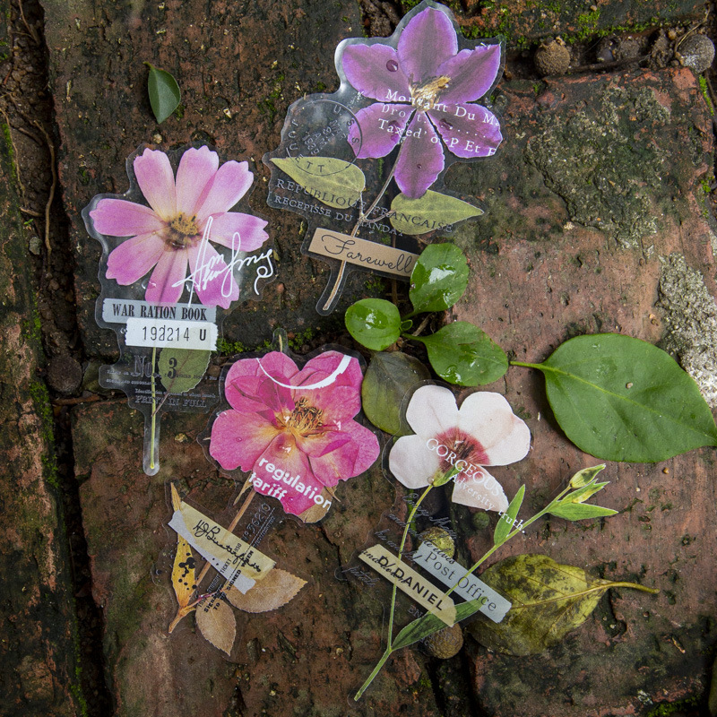 Dried Flower Bulk - 10 Pcs/Pack Corner Flower House Series