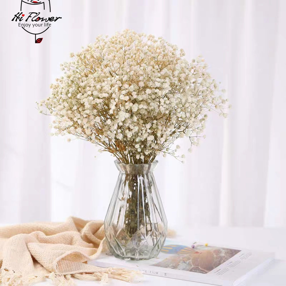 Natural Dried Flowers Preserve - Dried Flower Bulk review and price