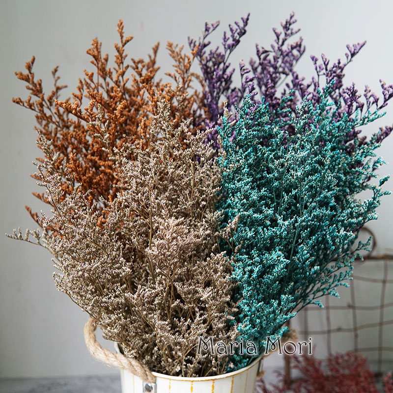 50g/Preserved Valentine's Gras - Dried Flower Bulk review and price